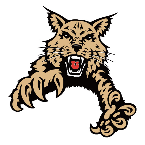 Abilene Christian Wildcats 1997-2012 Partial Logo1 Iron-on Transfers (Heat Transfers) N3678